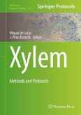 Xylem (eBook, PDF)