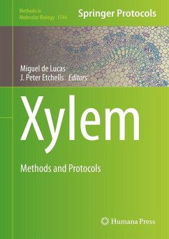 Xylem (eBook, PDF)