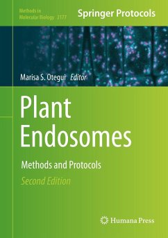 Plant Endosomes (eBook, PDF)