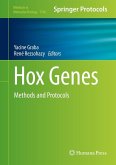 Hox Genes (eBook, PDF)