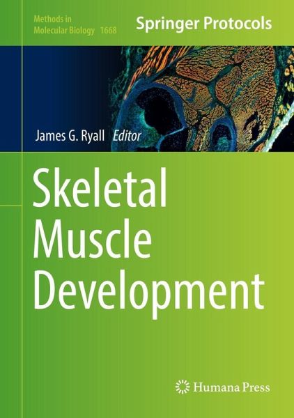 Skeletal Muscle Development (eBook, PDF) Skeletal Muscle Development (eBook, PDF)