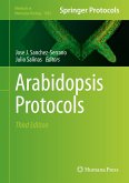 Arabidopsis Protocols (eBook, PDF)