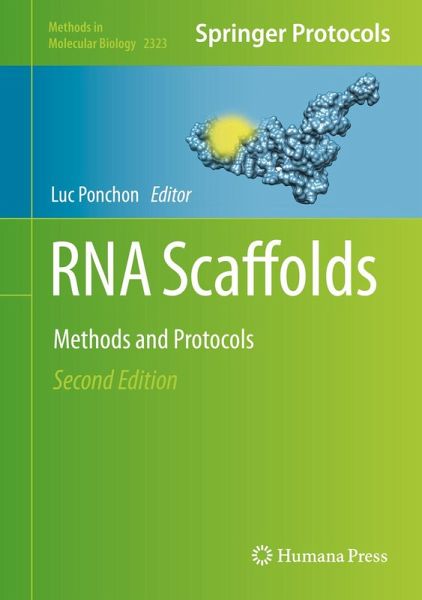 RNA Scaffolds (eBook, PDF)