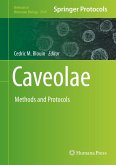 Caveolae (eBook, PDF)