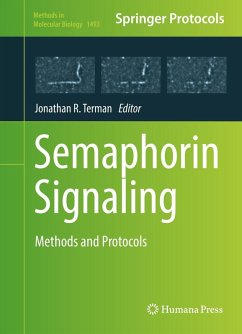 Semaphorin Signaling (eBook, PDF)