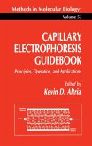Capillary Electrophoresis Guidebook (eBook, PDF)