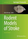 Rodent Models of Stroke (eBook, PDF)