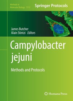 Campylobacter jejuni (eBook, PDF)