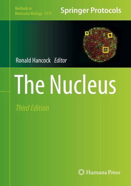 The Nucleus (eBook, PDF)