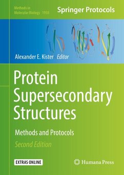 Protein Supersecondary Structures (eBook, PDF)