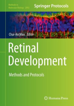 Cover Retinal Development (eBook, PDF)
