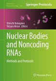 Nuclear Bodies and Noncoding RNAs (eBook, PDF)
