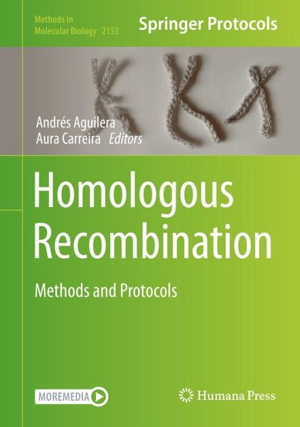 Homologous Recombination (eBook, PDF) Homologous Recombination (eBook, PDF)