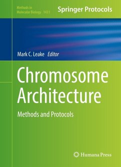 Chromosome Architecture (eBook, PDF)