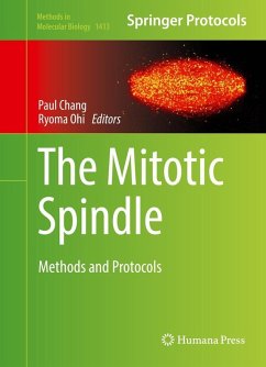 The Mitotic Spindle (eBook, PDF)