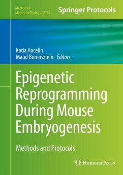Epigenetic Reprogramming During Mouse Embryogenesis (eBook, PDF)