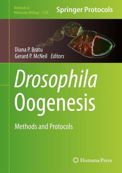 Cover Drosophila Oogenesis (eBook, PDF)