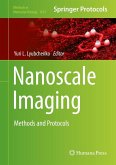 Nanoscale Imaging (eBook, PDF)