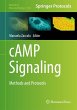 cAMP Signaling (eBook, PDF) - Bild 1