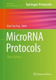 MicroRNA Protocols (eBook, PDF)