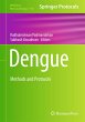 Dengue (eBook, PDF) - Bild 1