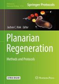 Planarian Regeneration (eBook, PDF)