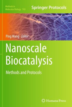 Nanoscale Biocatalysis (eBook, PDF)