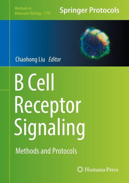 B Cell Receptor Signaling (eBook, PDF) B Cell Receptor Signaling (eBook, PDF)