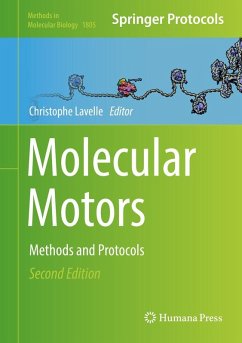 Molecular Motors (eBook, PDF)