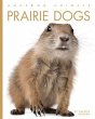 Prairie Dogs - Bild 1