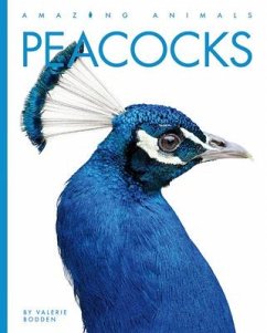 Peacocks - Bodden, Valerie