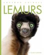 Lemurs - Bild 1
