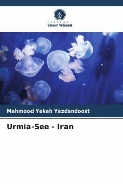 Urmia-See - Iran - Yekeh Yazdandoost, Mahmood