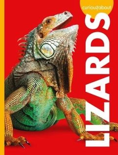 Curious about Lizards - Thielges, Alissa