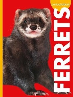 Curious about Ferrets - Thielges, Alissa