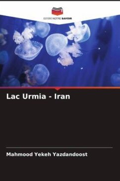 Lac Urmia - Iran - Yekeh Yazdandoost, Mahmood