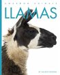 Llamas - Bild 1