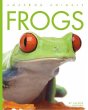 Frogs - Bild 1