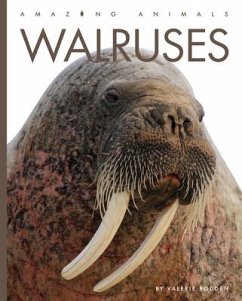 Walruses - Bodden, Valerie