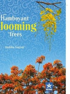 Flamboyant Blooming Trees - Nagnur, Shobha