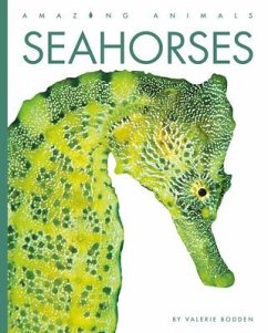 Seahorses - Bodden, Valerie
