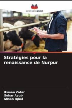 Stratégies pour la renaissance de Nurpur - Zafar, Usman;Ayub, Gohar;Iqbal, Ahsan