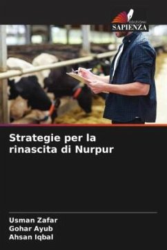 Strategie per la rinascita di Nurpur - Zafar, Usman;Ayub, Gohar;Iqbal, Ahsan