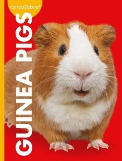 Curious about Guinea Pigs - Thielges, Alissa