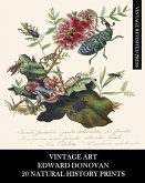 Vintage Art Vintage Art