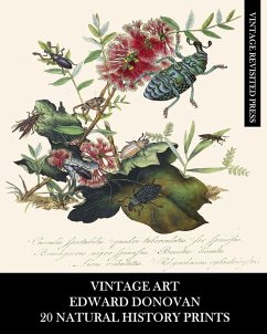 Cover Vintage Art