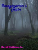 Imagination's Rain (eBook, ePUB)