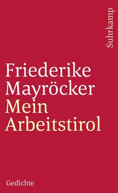 Mein Arbeitstirol (eBook, ePUB) - Mayröcker, Friederike