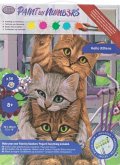 Craft Buddy PBN-3030-028 - Paint by Numbers, Hello Kittens, Katzen, 30x40cm, Malen nach Zahlen