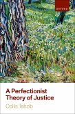 A Perfectionist Theory of Justice (eBook, ePUB)